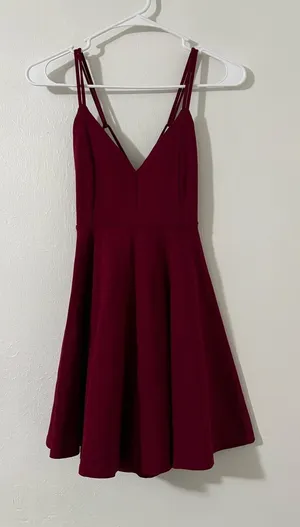 Windsor A-Line Skater Dress | Size: Small thumbnail 1
