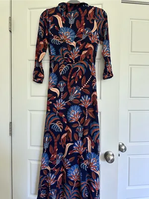 FARM RIO ABlue Nature Beauty Maxi Dress thumbnail 3