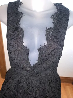 Tobi Floral Lace Dress thumbnail 2