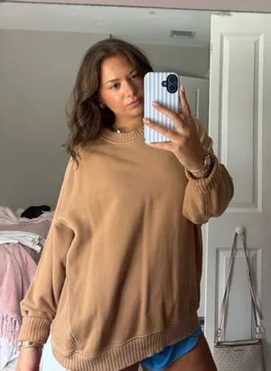 AERIE Brown Oversized Crewneck thumbnail 1