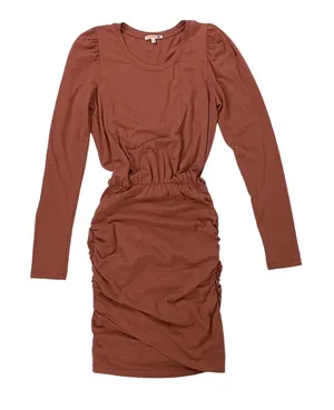 Sundry‎ Dress Small Long Sleeve Ruched Stretch Bodycon Pink Casual thumbnail 1