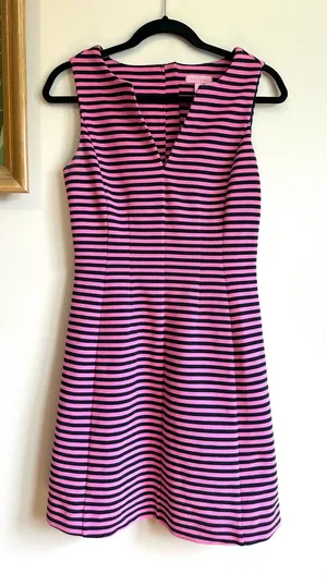 Lilly Pulitzer Brielle Striped Sleeveless Fit and Flare Dress Pink Navy womens thumbnail 1