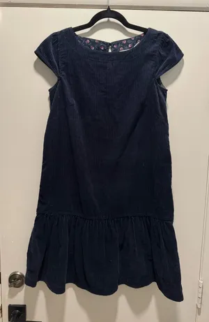 Velvet Anthropologie Dress thumbnail 1