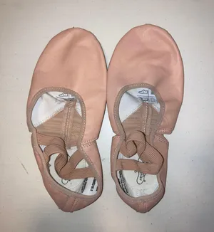 Revolution Split Sole Ballet Shoes thumbnail 1