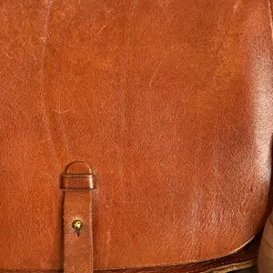 Lucky Brand The Point Genuine Leather Saddle Bag thumbnail 3