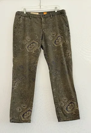 Pilcro Anthropologie Olive Paisley Straight-Leg Chino Pants Size 30 thumbnail 1