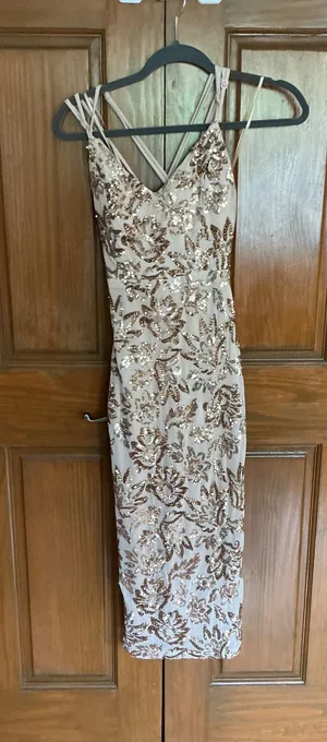 Windsor Sequin Dress thumbnail 1