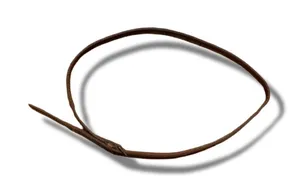 Women’s American Eagle Vintage 2000s Brown Leather Skinny Belt 40” thumbnail 1
