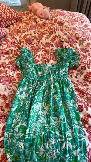 Lily Pulitzer Lilly Dress thumbnail 3