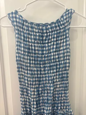 House of Spence blue and white gingham dress thumbnail 5