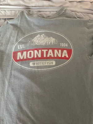 Comfort Colors T-Shirt thumbnail 2