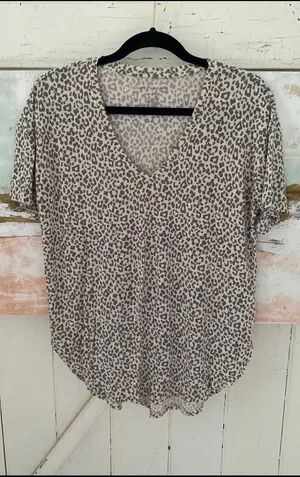American Eagle Outfitters Soft & Sexy V Neck Tee thumbnail 1
