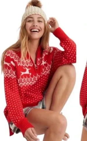 Aerie Christmas Fair Isle‎ Quarter Zip Chunky Knit Sweater thumbnail 1