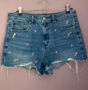 American Eagle Embroidered Jean Shorts thumbnail 1