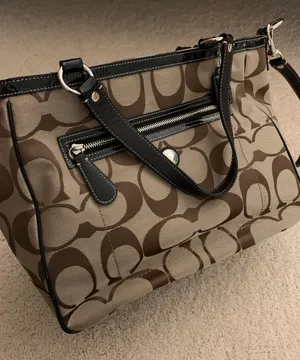 Coach Hand Bag thumbnail 1