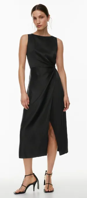 Babaton Aritzia Silk Dress thumbnail 1
