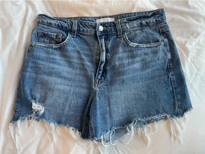 Vervet Cynical Frayed Denim Short thumbnail 3