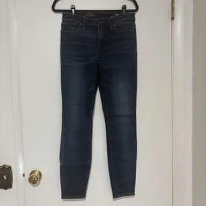 J.Crew Lookout High Rise Skinny Jeans Women 28 Blue Stretch Denim Pants Dark thumbnail 2