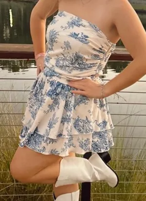 Cider Blue toile Dress Mini thumbnail 1