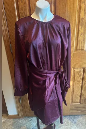 G & Y Satin Tie Waist Cocktail Mini Dress Size XL New NWT thumbnail 2