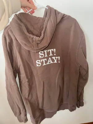The Stray Dog Brown Hoodie thumbnail 2