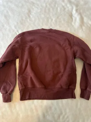 Aritzia TNA Cozy Fleece Sweatshirt thumbnail 4