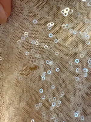 FashioNova White Sequin Mini Dress thumbnail 5