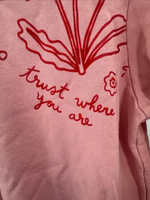 ban.do Pastel Pink Sweatshirt red floral hearts trust where you are M casual thumbnail 9