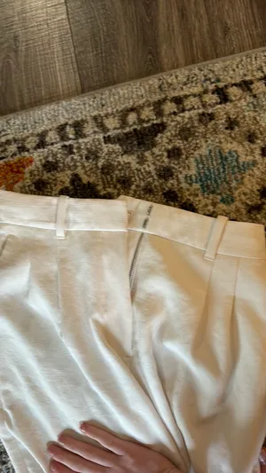 Aritzia Slouchy Dress Pant thumbnail 3