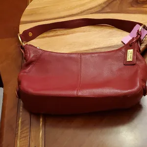 The Sak Bag thumbnail 5