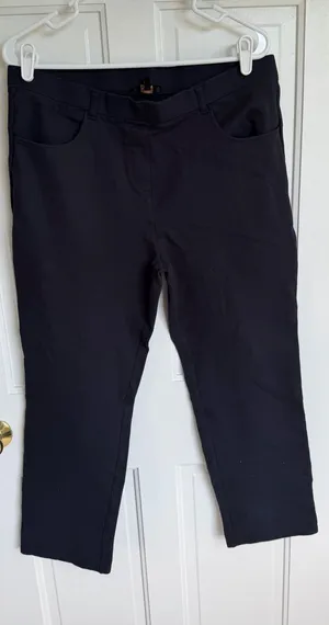 Quince XL Blue/Navy Stretch Ponte Cropped Pants‎ Pull On Career Casual thumbnail 1