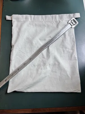 Charles & Keith Purse Crossbody thumbnail 3