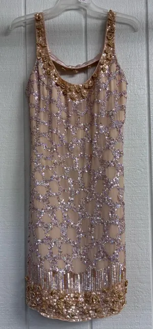 LuxGal Silk Sequin Dress Orange Size 10 thumbnail 1