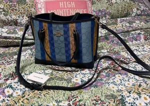 Coach Bag thumbnail 1