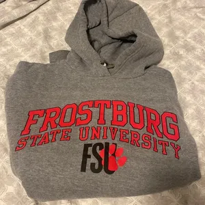 Jansport Frostburg hoodie size small thumbnail 1