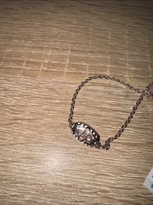 Kendra Scott Elaina Silver Chain Bracelet new adjustable thumbnail 2