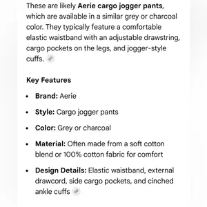 Aerie Charcoal Grey Cargo Jogger Pants | Size Large thumbnail 9