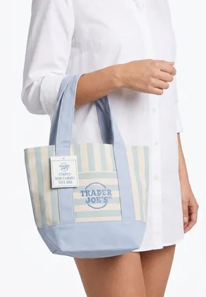 Trader Joe’s‎ Striped Mini Canvas Tote Bag Pastel Blue Cream NWT 2026 thumbnail 1