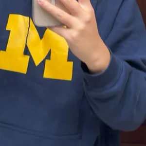 Nike U of Michigan Hoodie thumbnail 4