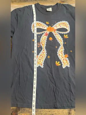 Comfort Colors Black Short Sleeve Tee with Pumpkin Bow Graphic thumbnail 6