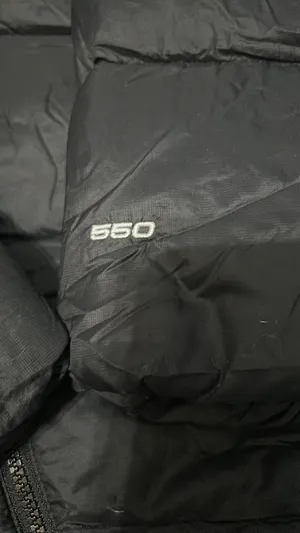 The North Face 550 Puffer Coat thumbnail 4