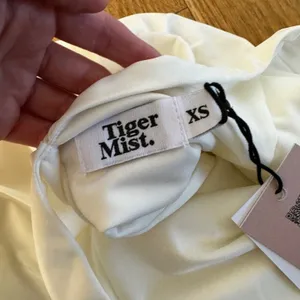Tiger Mist Reese Mini Dress in Ivory thumbnail 5