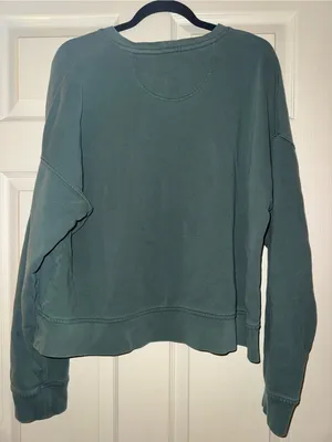 Carhartt Women's Crewneck Sweatshirt in Sage thumbnail 6