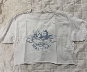 John Galt Brandy Melville Cropped Angel Tee thumbnail 1