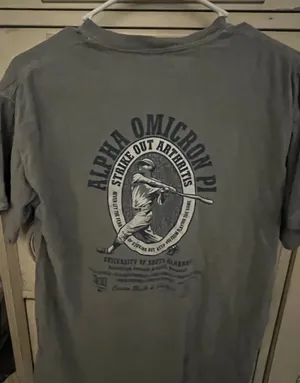 Alpha Omicron Comfort Colors Pi thumbnail 2