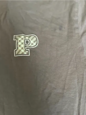 PINK VS Brown Short Sleeve Tee Size Medium 0383 thumbnail 2