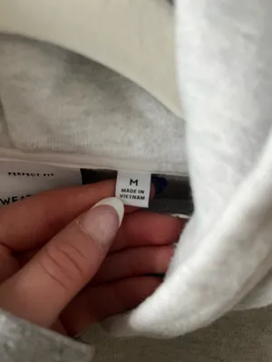 Aritzia Hoodie Perfect  thumbnail 4