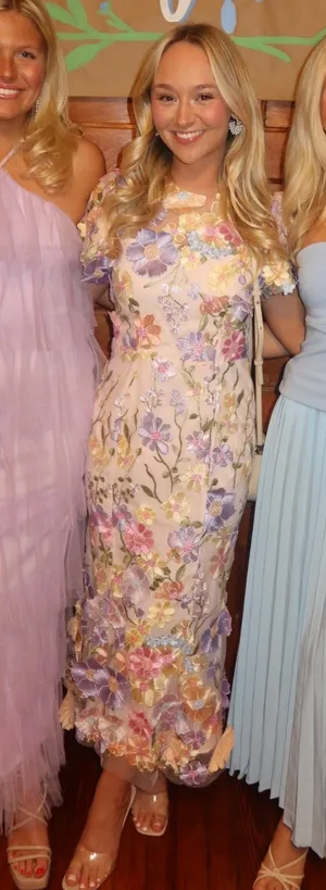 Boutique 3D Floral Embroidery Dress thumbnail 1