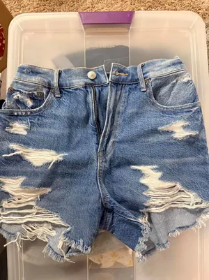 BNWT American Eagle shorts sz 0 thumbnail 1