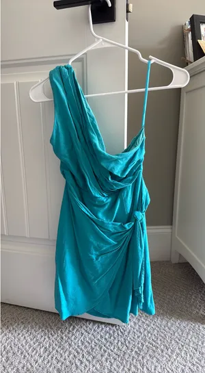 Showpo Dress Mini thumbnail 6